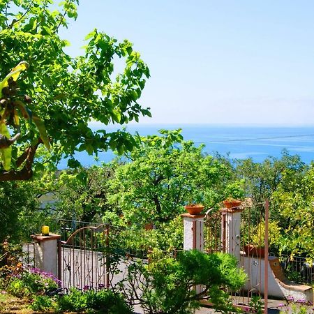B&B La Casa Del Gelso Acquafredda Εξωτερικό φωτογραφία