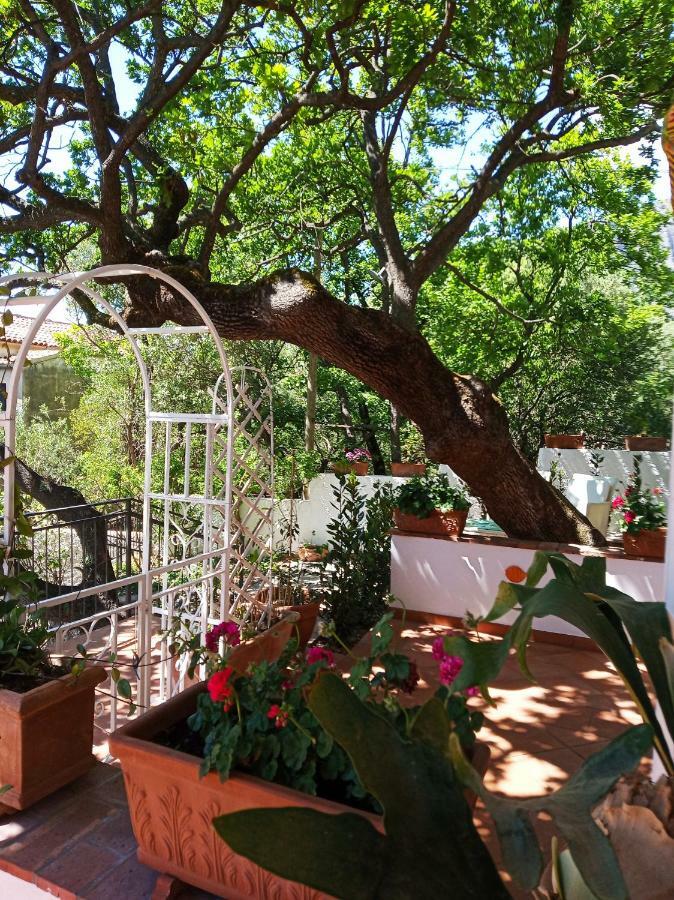 B&B La Casa Del Gelso Acquafredda Εξωτερικό φωτογραφία