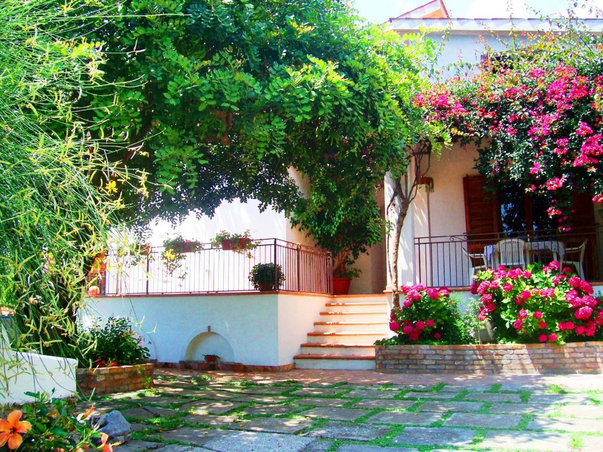 B&B La Casa Del Gelso Acquafredda Εξωτερικό φωτογραφία