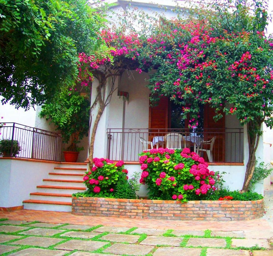 B&B La Casa Del Gelso Acquafredda Εξωτερικό φωτογραφία