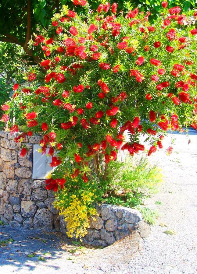 B&B La Casa Del Gelso Acquafredda Εξωτερικό φωτογραφία