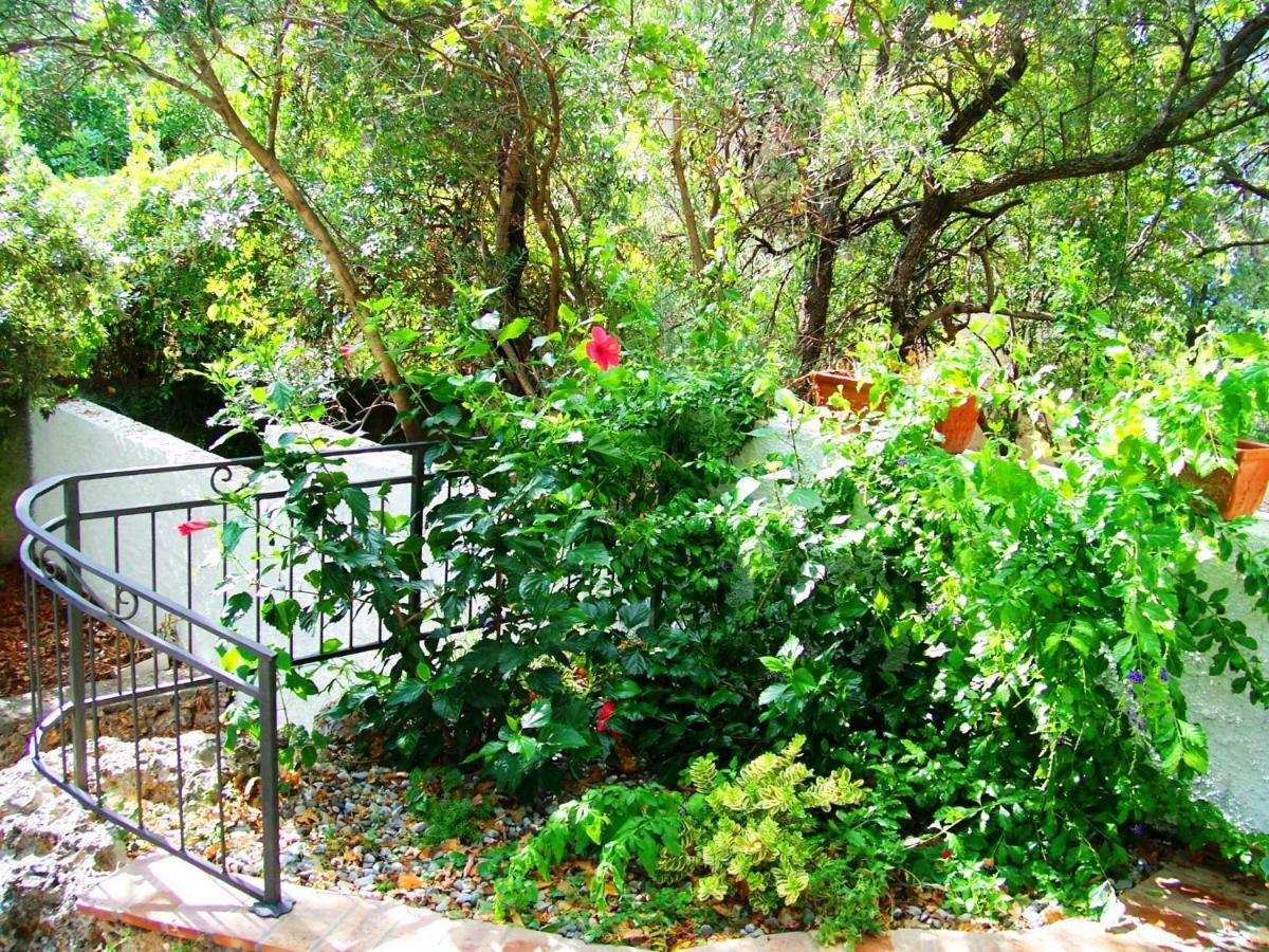 B&B La Casa Del Gelso Acquafredda Εξωτερικό φωτογραφία