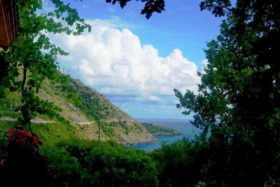 B&B La Casa Del Gelso Acquafredda Εξωτερικό φωτογραφία