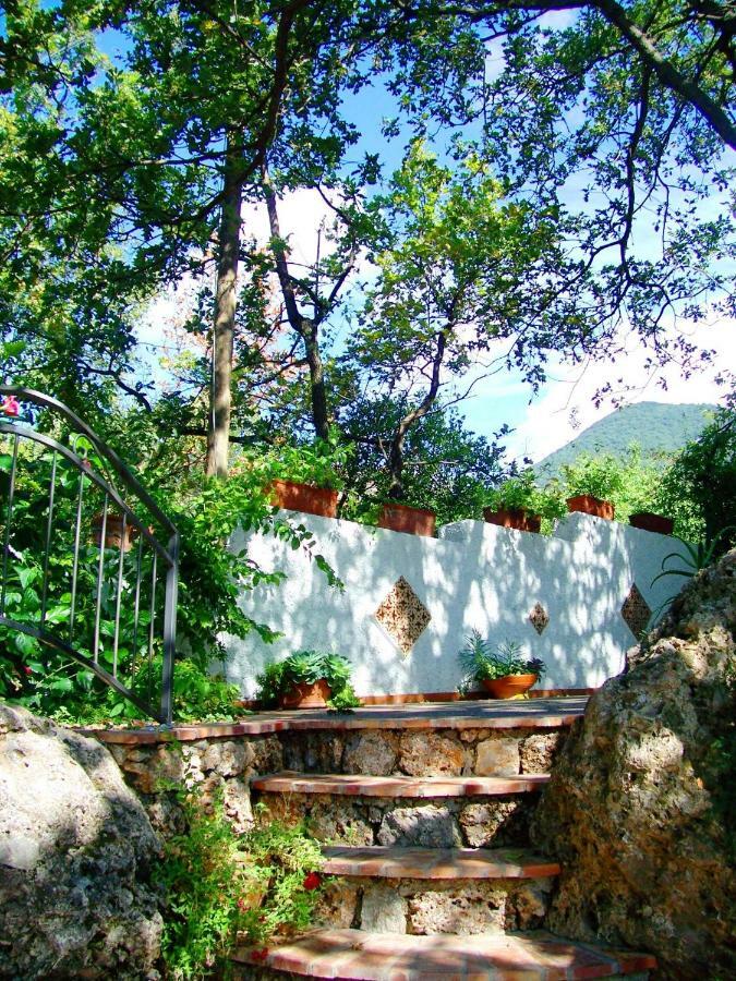 B&B La Casa Del Gelso Acquafredda Εξωτερικό φωτογραφία