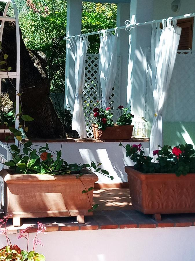 B&B La Casa Del Gelso Acquafredda Εξωτερικό φωτογραφία