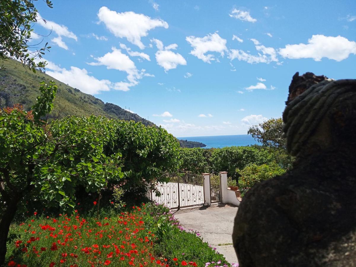 B&B La Casa Del Gelso Acquafredda Εξωτερικό φωτογραφία